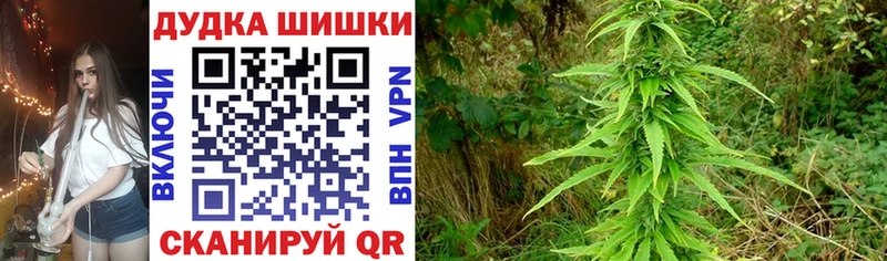 Купить Ладушкин СК Меф АМФЕТАМИН Марихуана Гашиш
