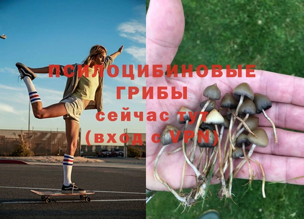 а пвп мука Балабаново