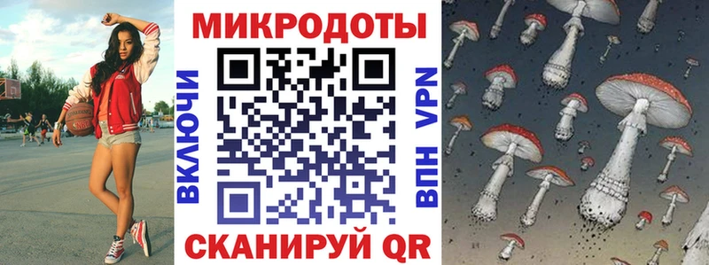 Галлюциногенные грибы Psilocybe  Ладушкин 