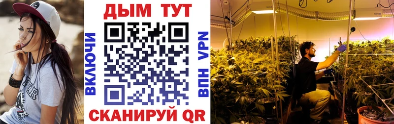Шишки марихуана индика  где купить наркоту  Ладушкин 